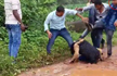 Congress leader’s son Filmed Thrashing bikers in Road Rage